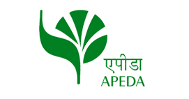 Home apeda logo